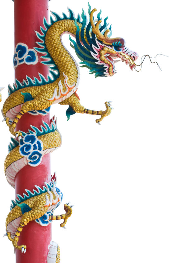 Year of the Dragon